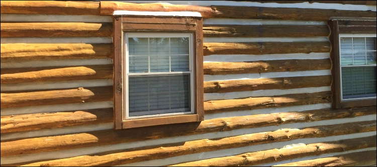 Log Home Whole Log Replacement  Burke County, Georgia